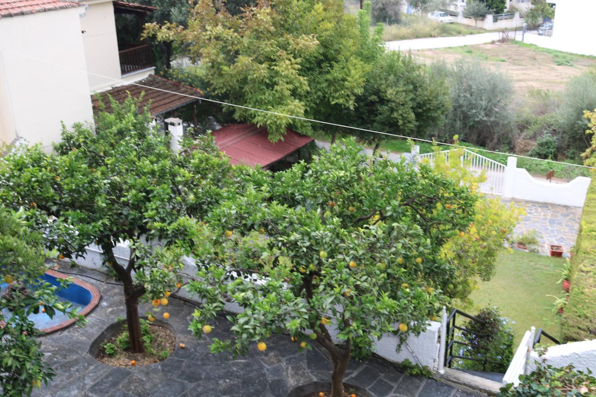 Villa Sofia Marathos  Ngoại thất bức ảnh