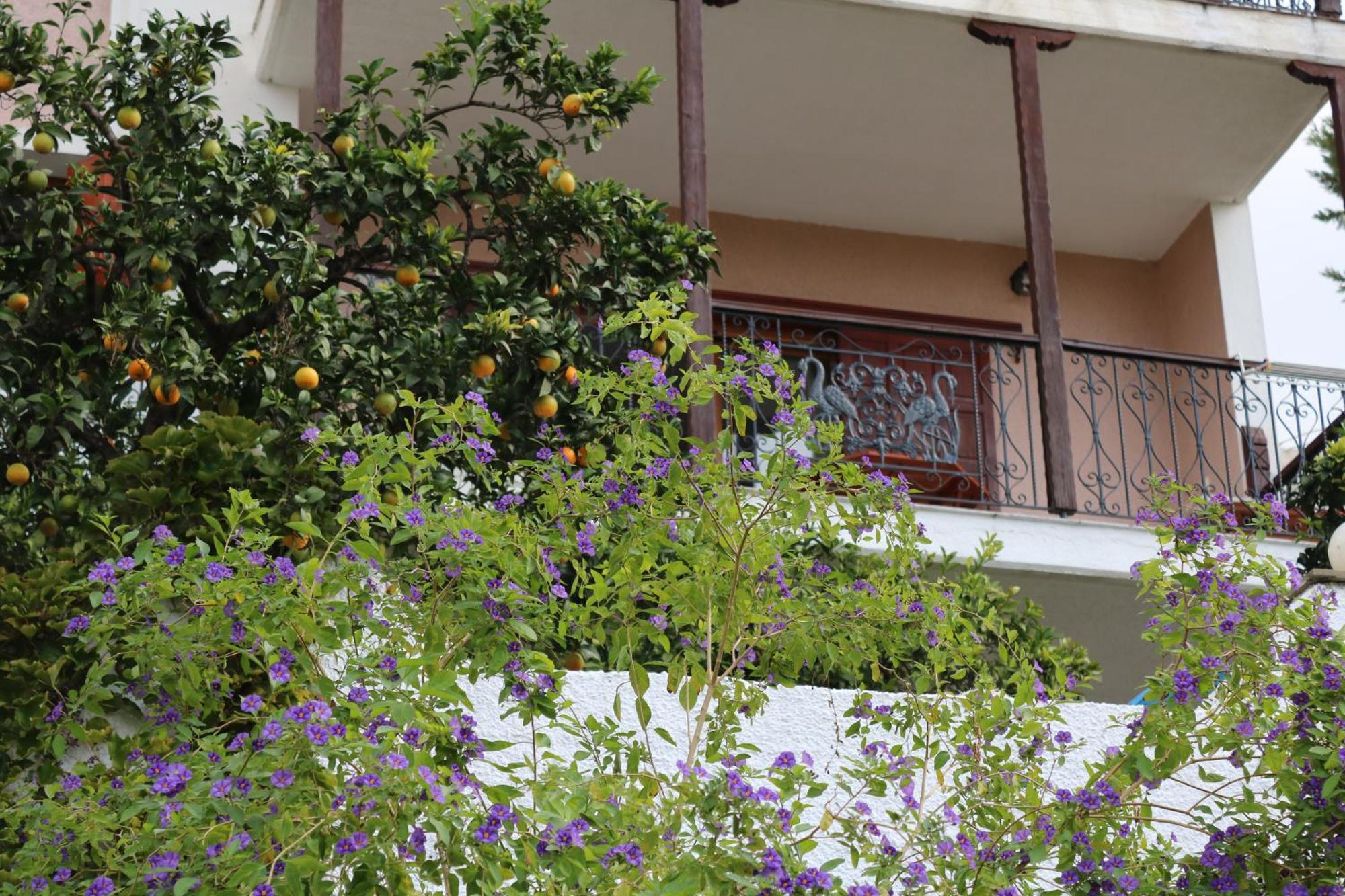 Villa Sofia Marathos  Ngoại thất bức ảnh