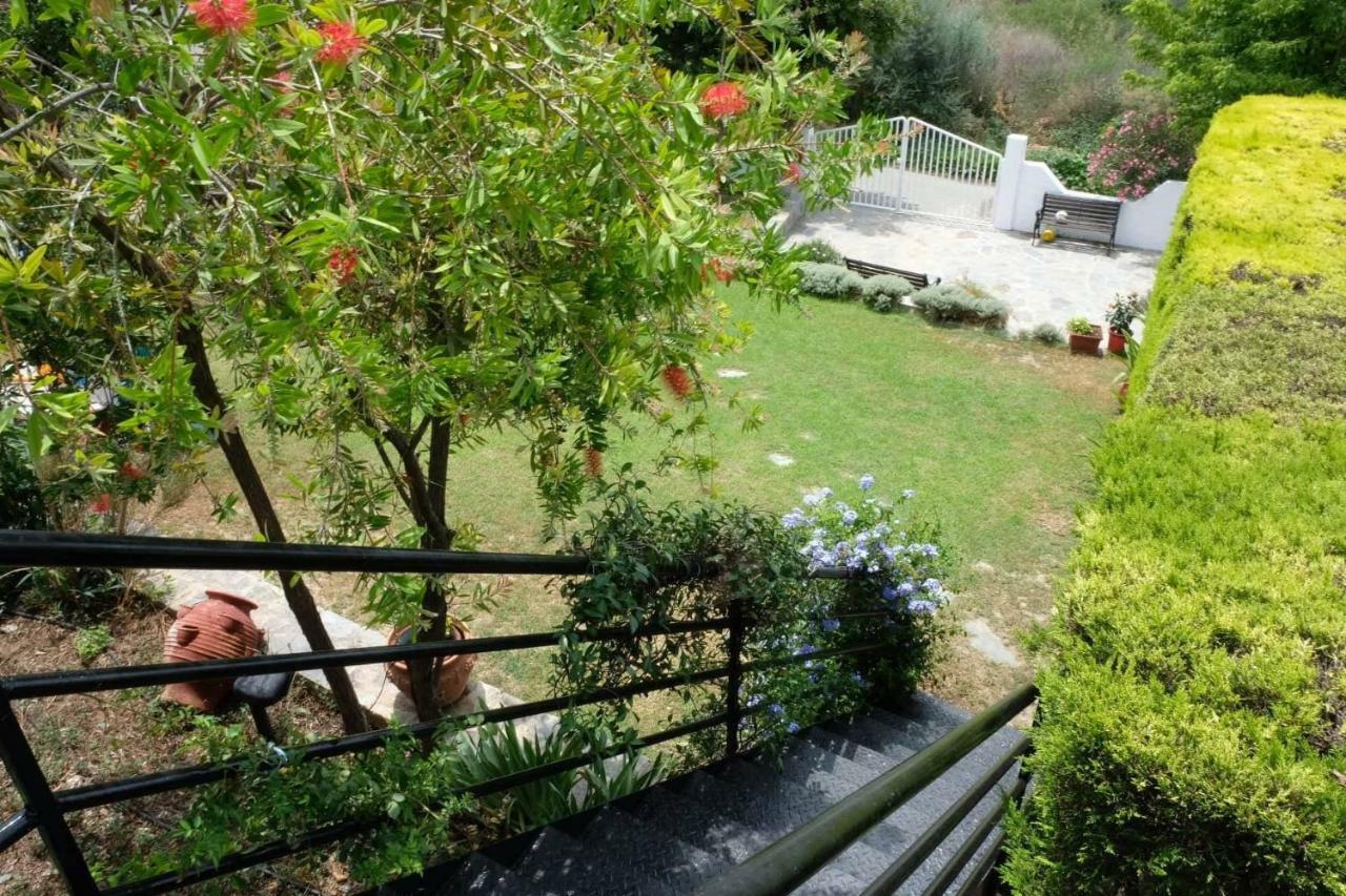 Villa Sofia Marathos  Ngoại thất bức ảnh