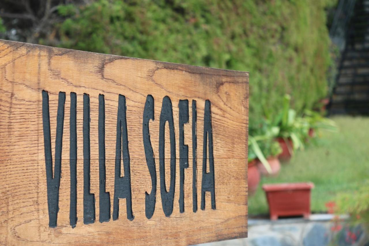 Villa Sofia Marathos  Ngoại thất bức ảnh
