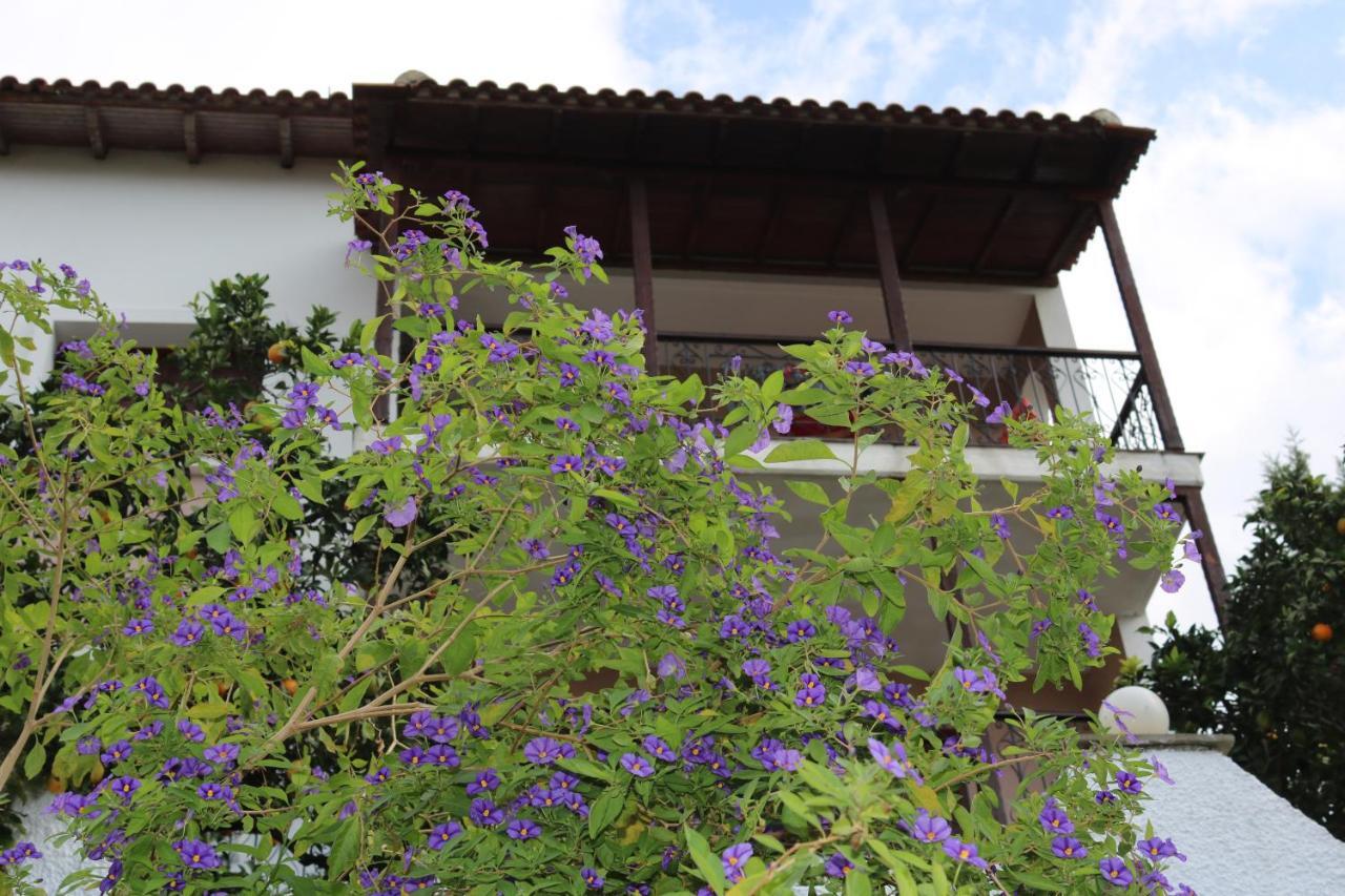 Villa Sofia Marathos  Ngoại thất bức ảnh
